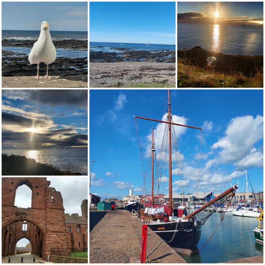 The Snug Arbroath Exterior photo